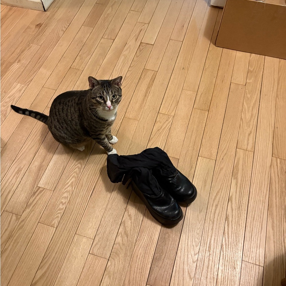 Super rare Fornarina platform boots